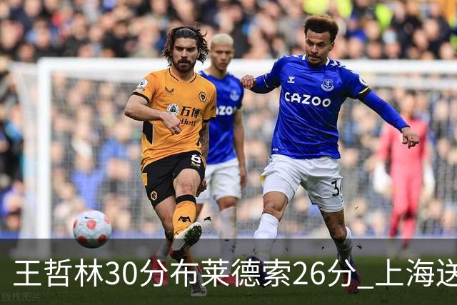 王哲林30分布莱德索26分 上海送宁波12连败